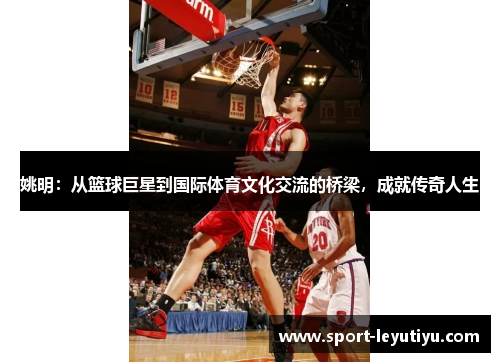 姚明：从篮球巨星到国际体育文化交流的桥梁，成就传奇人生