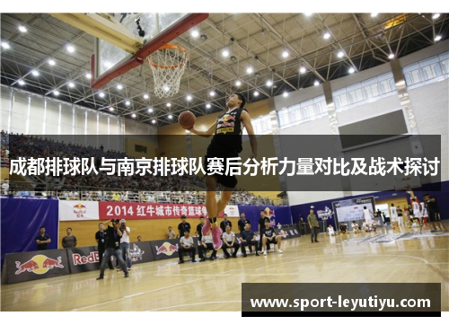 成都排球队与南京排球队赛后分析力量对比及战术探讨