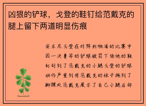 凶狠的铲球，戈登的鞋钉给范戴克的腿上留下两道明显伤痕